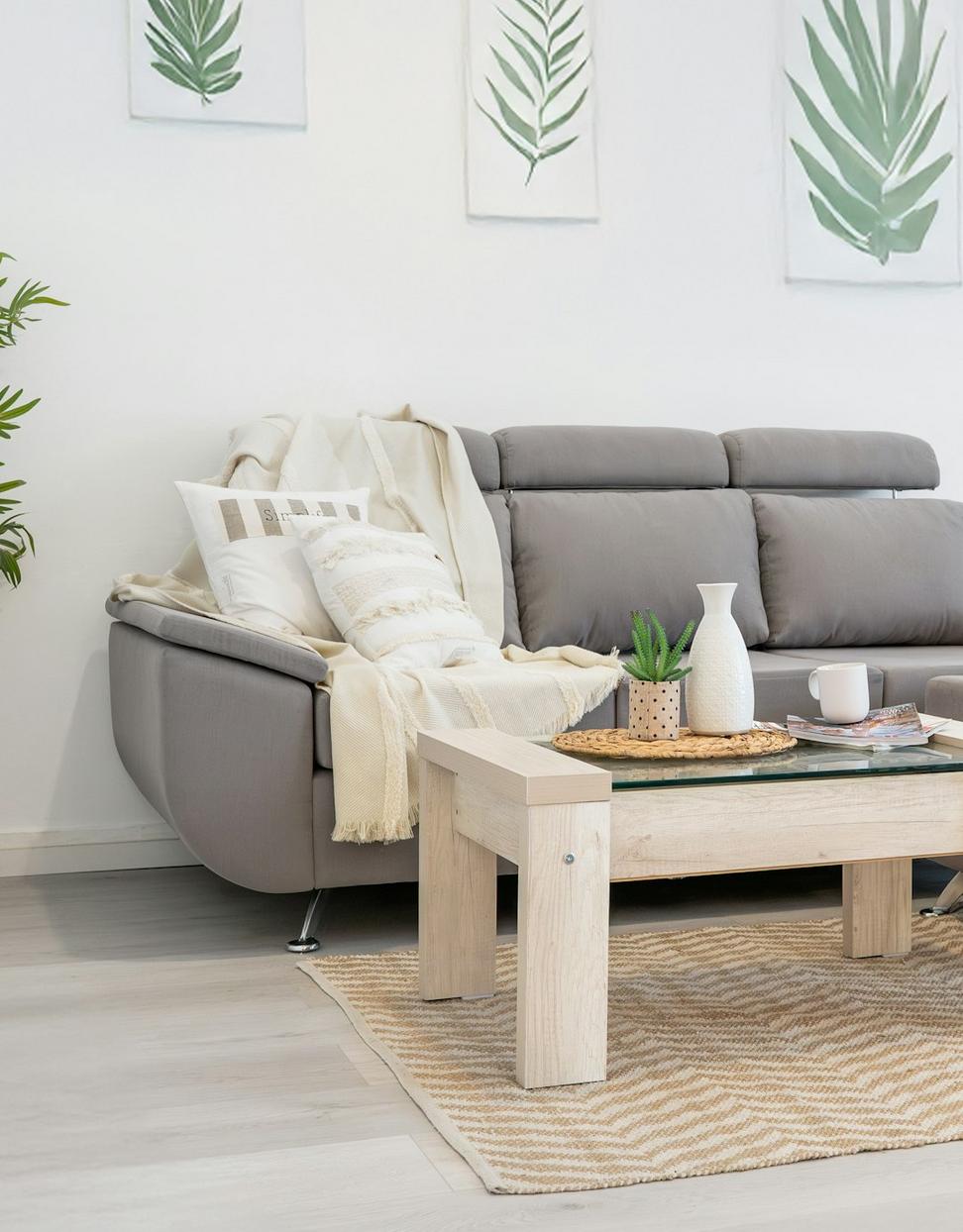 High Park Minimalist Retreat